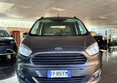 ford tourneo