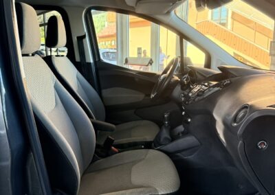 ford tourneo