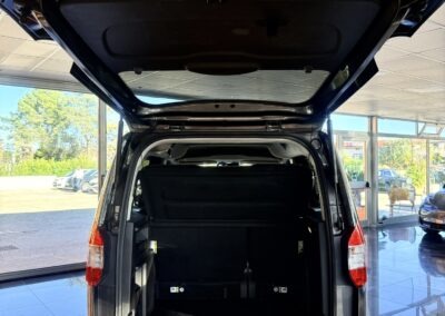 ford tourneo