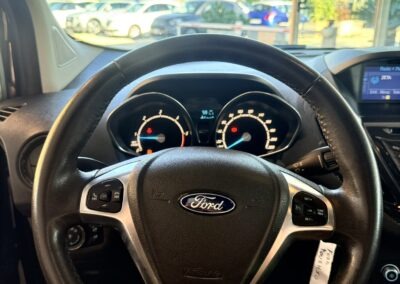 ford tourneo