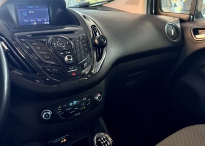 ford tourneo