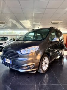 ford tourneo