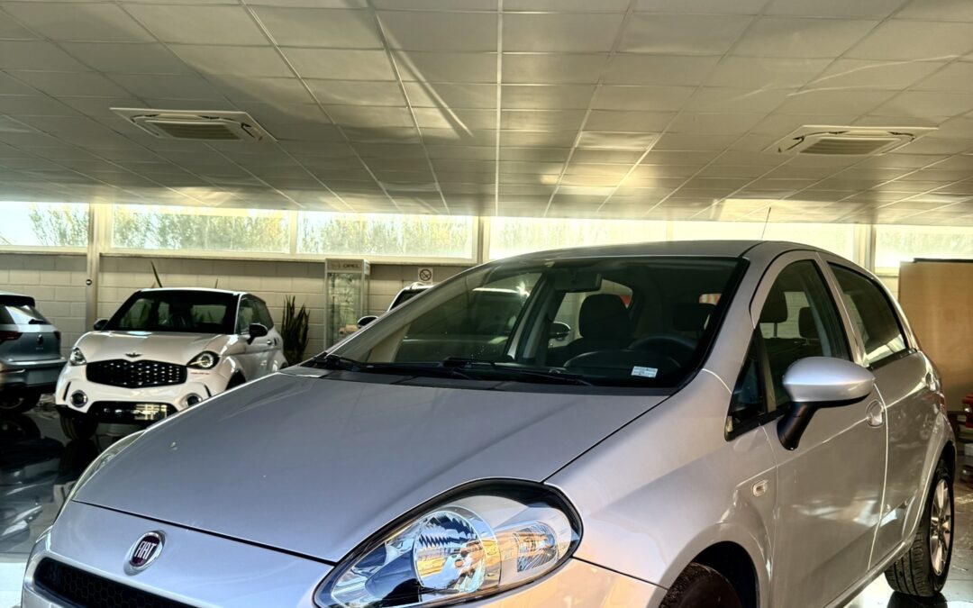 Fiat Punto 1.3 MJT II S&S 95 CV 5 porte Street km 137.400 (anno 2017) 7.800€