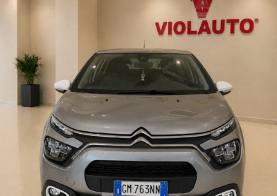 citroen c3 bluehdi 100 s&s you