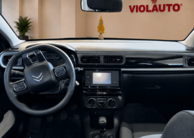 citroen c3 bluehdi 100 s&s you