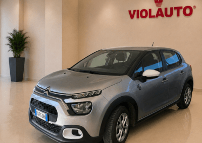 citroen c3 bluehdi 100 s&s you