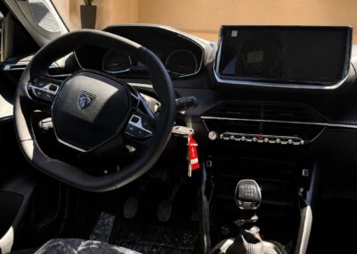 Peugeot 208 5 P Turbo Benzina 100 CV Business